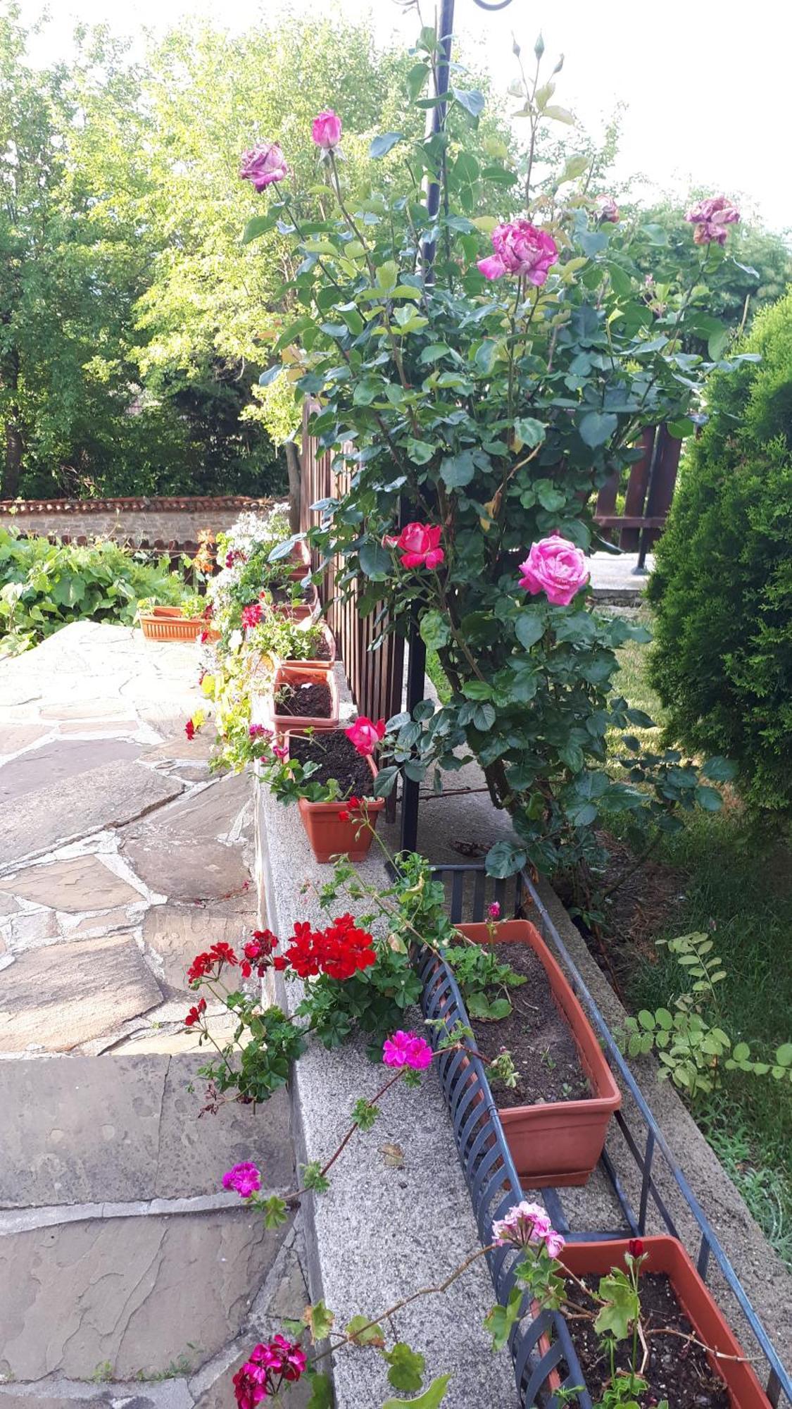 Guest House Zarkova Kushta Zheravna ภายนอก รูปภาพ